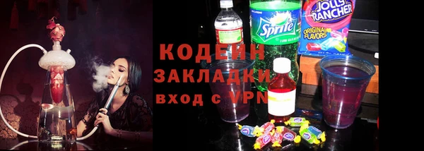 хмурый Белокуриха