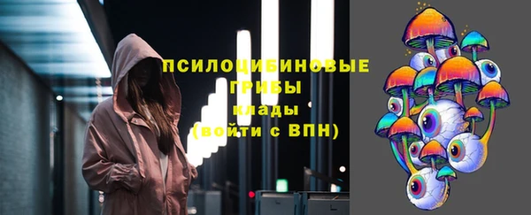 хмурый Белокуриха