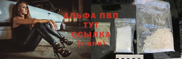 хмурый Белокуриха