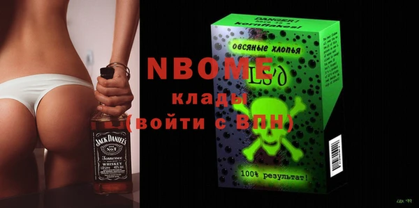 хмурый Белокуриха