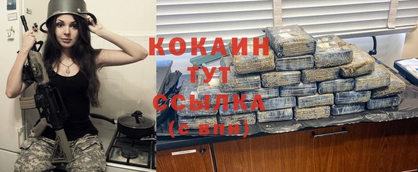 хмурый Белокуриха