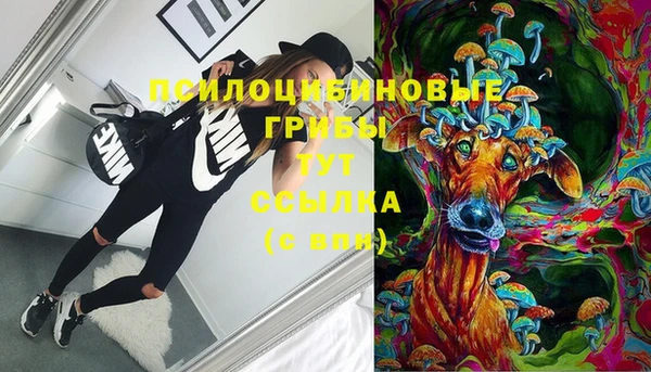 хмурый Белокуриха