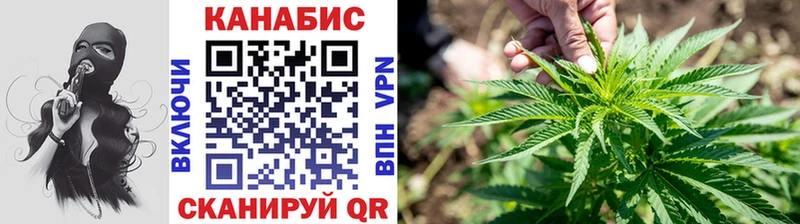 наркотики  Ясногорск  Каннабис сатива 